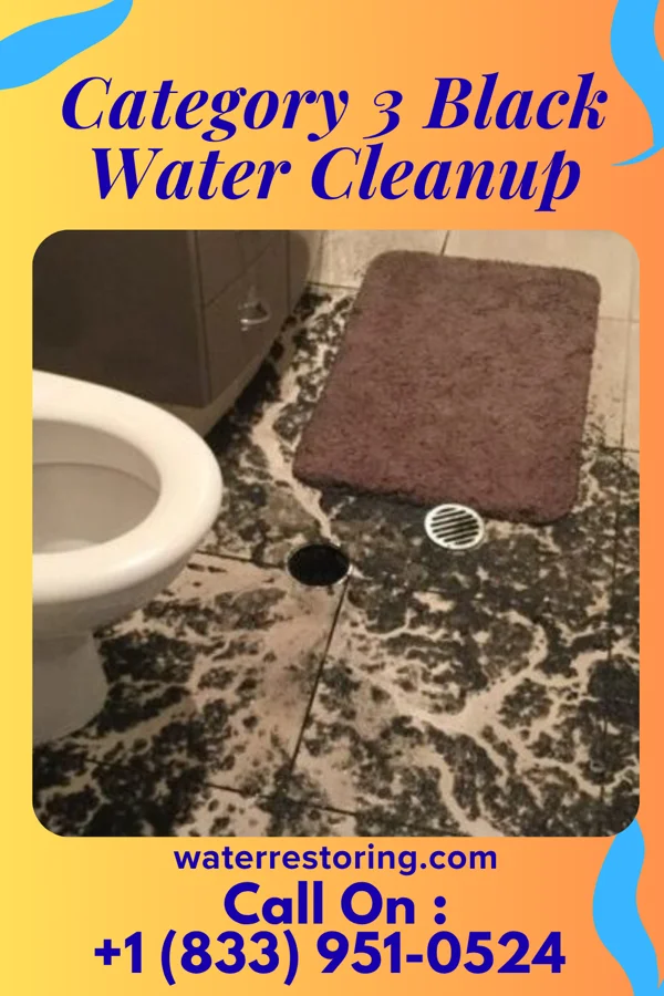 Category 3 Black Water Cleanup in Stratton, OH