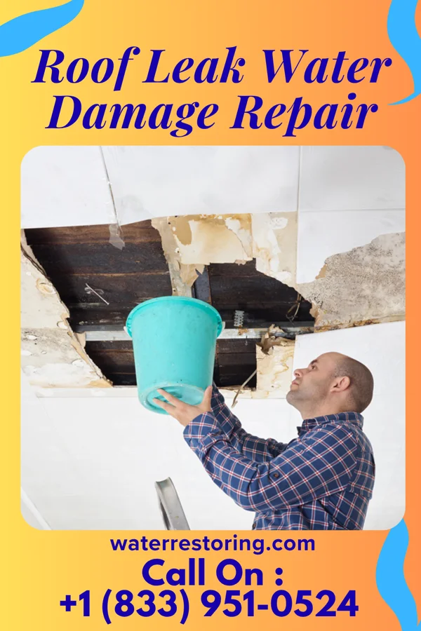 Roof Leak Water Damage Repair in Stratton, OH