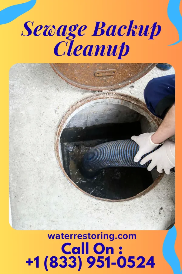 Sewage Backup Cleanup in Stratton, OH